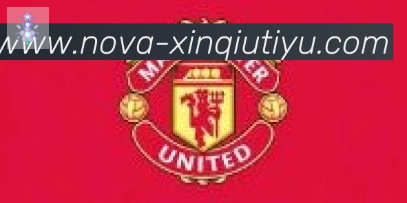 新球体育合作伙伴